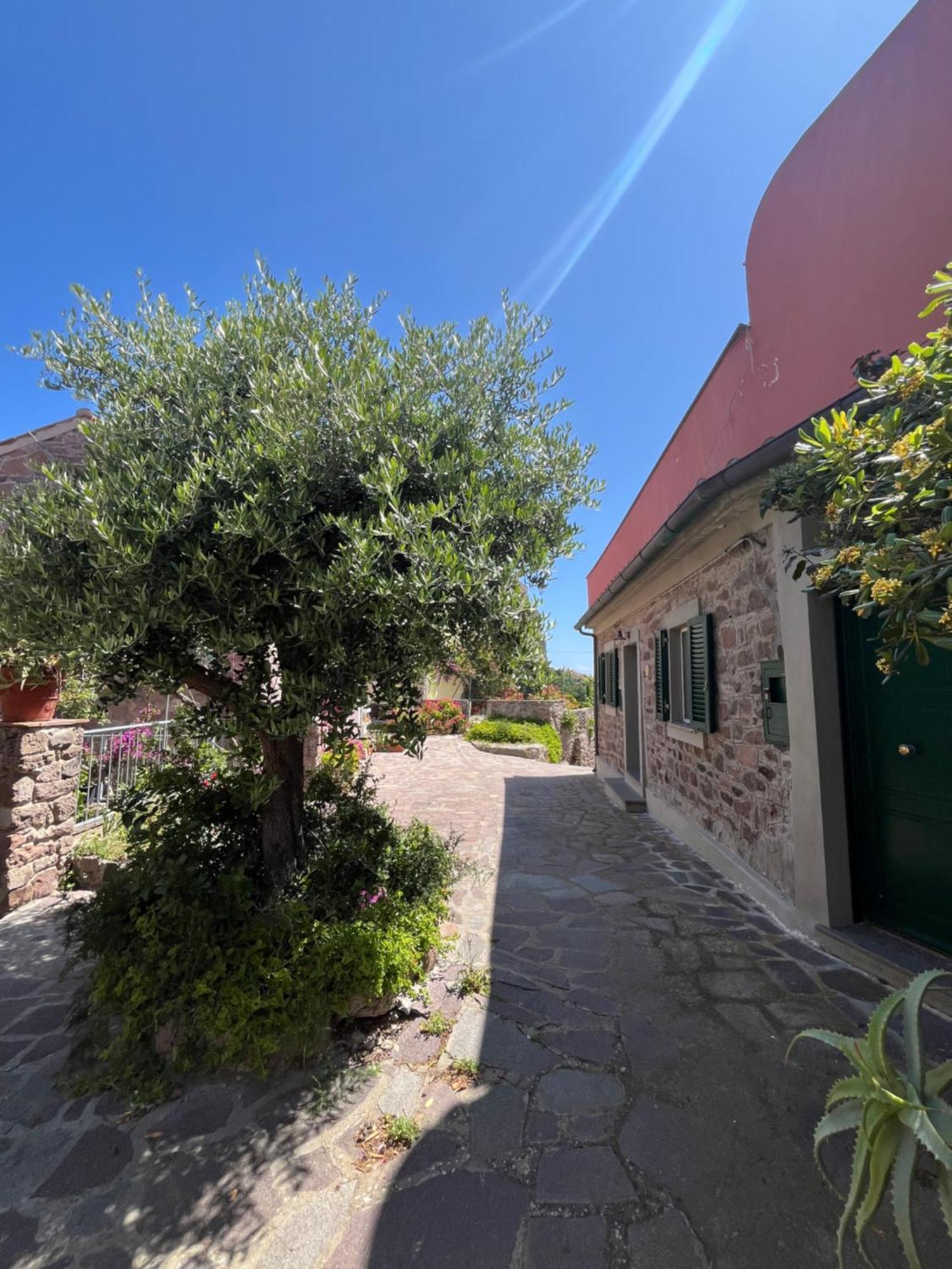 Vila Casa Vista Castello Capraia Exteriér fotografie